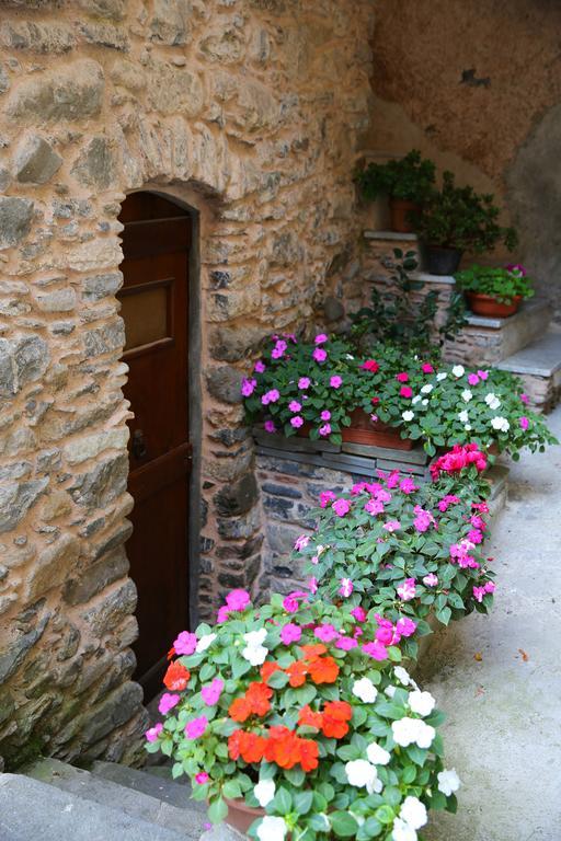 La Meridiana Casale Пиньйоне Номер фото